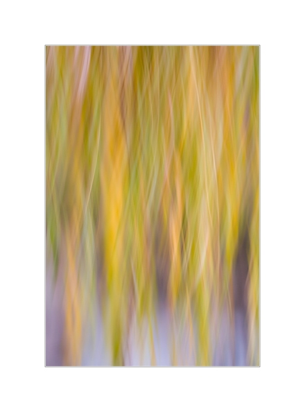 November.jpg