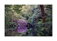 Natur